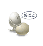 たまごのはなし（個別スタンプ：13）