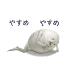 たまごのはなし（個別スタンプ：31）