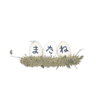 たまごのはなし（個別スタンプ：40）