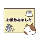 猫ちゃんシニア体調報告スタンプ♡（個別スタンプ：22）