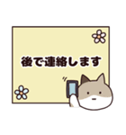 猫ちゃんシニア体調報告スタンプ♡（個別スタンプ：31）