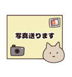 猫ちゃんシニア体調報告スタンプ♡（個別スタンプ：37）