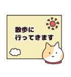 猫ちゃんシニア体調報告スタンプ♡（個別スタンプ：40）