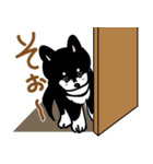 テンション低めの黒柴くん（個別スタンプ：23）