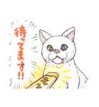 Choco猫スタンプ（色んな猫ちゃん）（個別スタンプ：29）