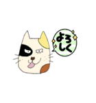 ねこけん（個別スタンプ：33）