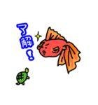 金魚のきんととさん（個別スタンプ：6）