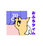 犬にサングラス（個別スタンプ：5）