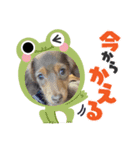 大西ルル♡（個別スタンプ：6）