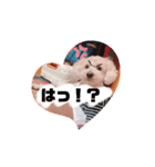 トイプードルのくしな（個別スタンプ：2）