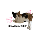 ケミ②（個別スタンプ：2）