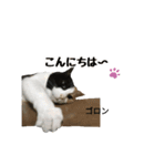 ケミ②（個別スタンプ：10）
