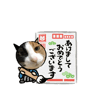 ケミ②（個別スタンプ：15）
