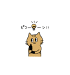 茶トラねこ謝罪スタイル（個別スタンプ：1）