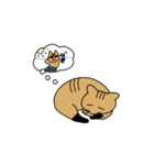 茶トラねこ謝罪スタイル（個別スタンプ：2）