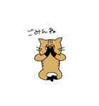 茶トラねこ謝罪スタイル（個別スタンプ：7）
