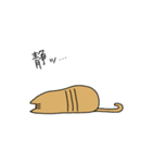 茶トラねこ謝罪スタイル（個別スタンプ：11）