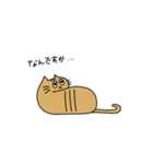 茶トラねこ謝罪スタイル（個別スタンプ：12）