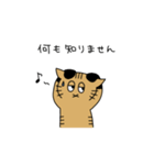 茶トラねこ謝罪スタイル（個別スタンプ：21）
