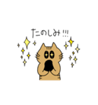 茶トラねこ謝罪スタイル（個別スタンプ：23）