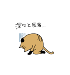 茶トラねこ謝罪スタイル（個別スタンプ：29）
