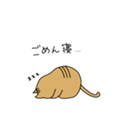 茶トラねこ謝罪スタイル（個別スタンプ：31）