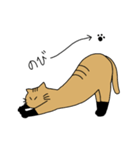 茶トラねこ謝罪スタイル（個別スタンプ：32）