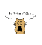 茶トラねこ謝罪スタイル（個別スタンプ：38）
