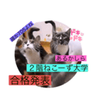 ガッシーねこーず40にゃんシリーズ⑯（個別スタンプ：17）