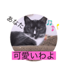 ガッシーねこーず40にゃんシリーズ⑯（個別スタンプ：35）