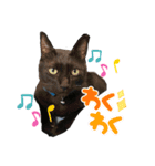 黒猫のジジすけ（個別スタンプ：16）