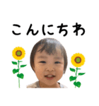 あいさつこなつさん（個別スタンプ：1）