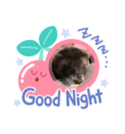 モカ、ちょこ（個別スタンプ：1）