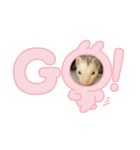 モカ、ちょこ（個別スタンプ：2）