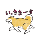 げんきな柴犬たち（個別スタンプ：14）