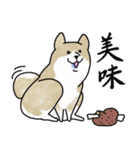 げんきな柴犬たち（個別スタンプ：17）