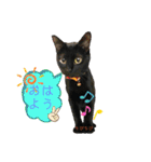 チーム黒猫と仲間たち（個別スタンプ：18）