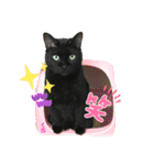 チーム黒猫と仲間たち（個別スタンプ：26）