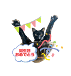 チーム黒猫と仲間たち（個別スタンプ：32）