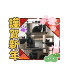 チーム黒猫と仲間たち（個別スタンプ：36）