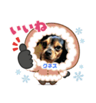 チーム黒猫と仲間たち（個別スタンプ：38）