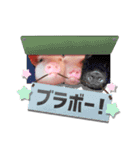 pigちゃんスタンプ！〜第2弾〜（個別スタンプ：12）