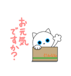 めめしろうの敬語スタンプ（個別スタンプ：11）