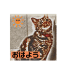 アメショのリン（個別スタンプ：1）