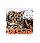 アメショのリン（個別スタンプ：8）