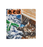 アメショのリン（個別スタンプ：17）