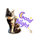 トレセン猫（個別スタンプ：3）