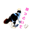 トレセン猫（個別スタンプ：7）