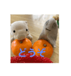 ふーちーさんスタンプ（個別スタンプ：4）