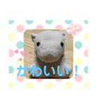 ふーちーさんスタンプ（個別スタンプ：5）